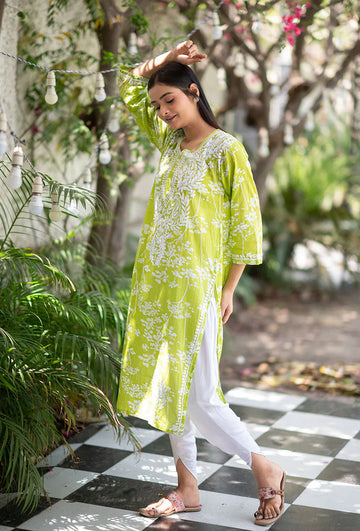 Zainab Chikankari Mulmul Straight Kurti